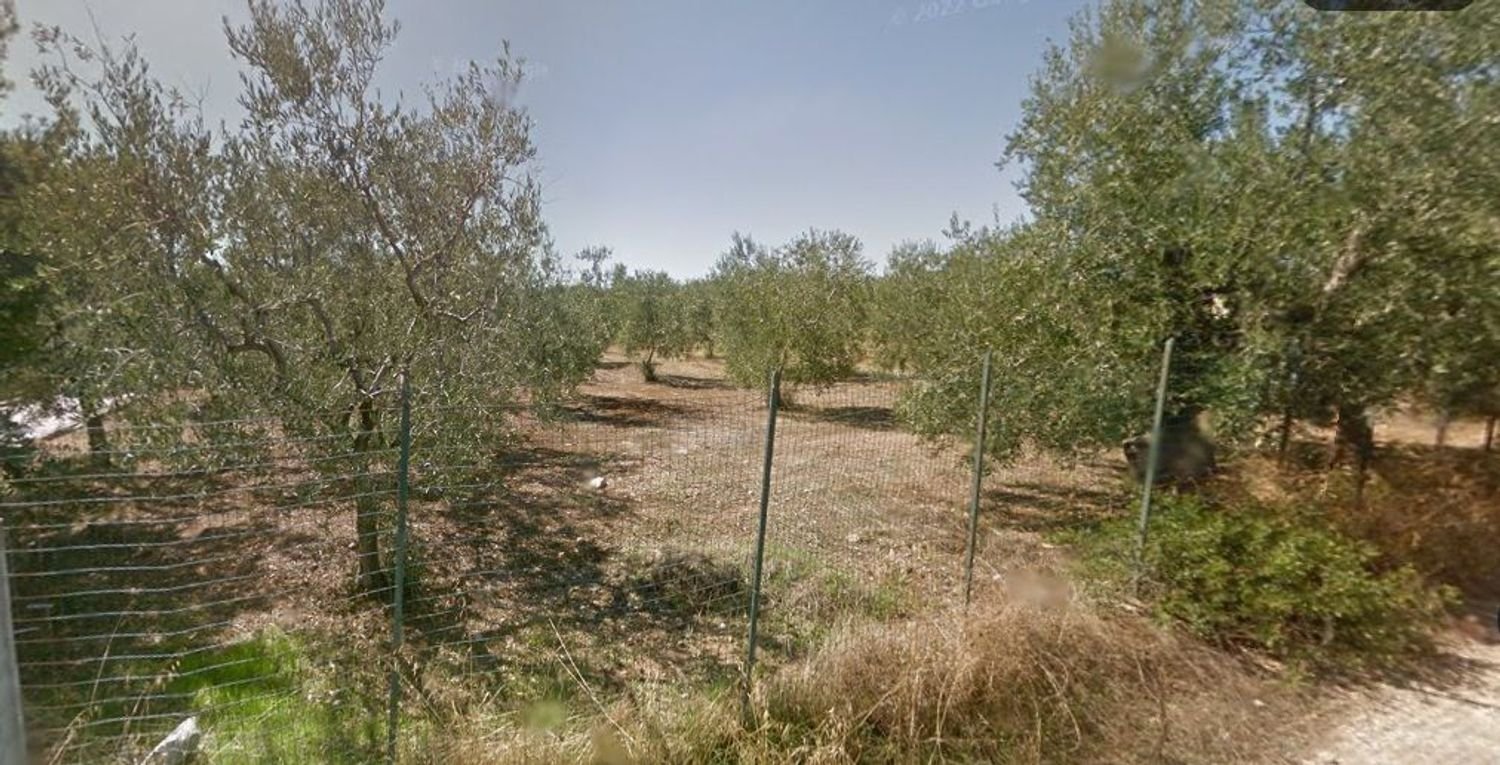 Terrain à Trani, Italy No. 393264