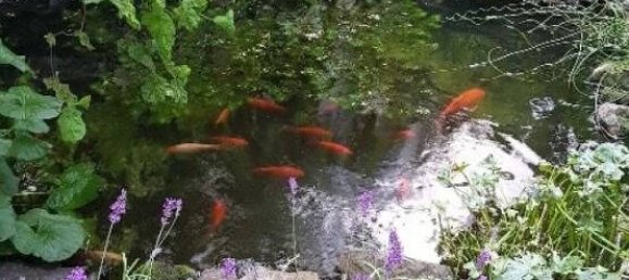 2 Schlafzimmer Doppelhaus in Karlsruhe, Germany, Nr. 53680 25