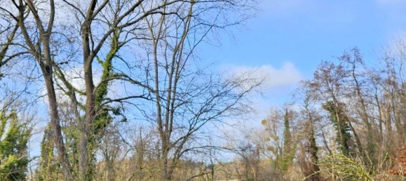 Terreno en Potsdam, Germany No. 68416 14