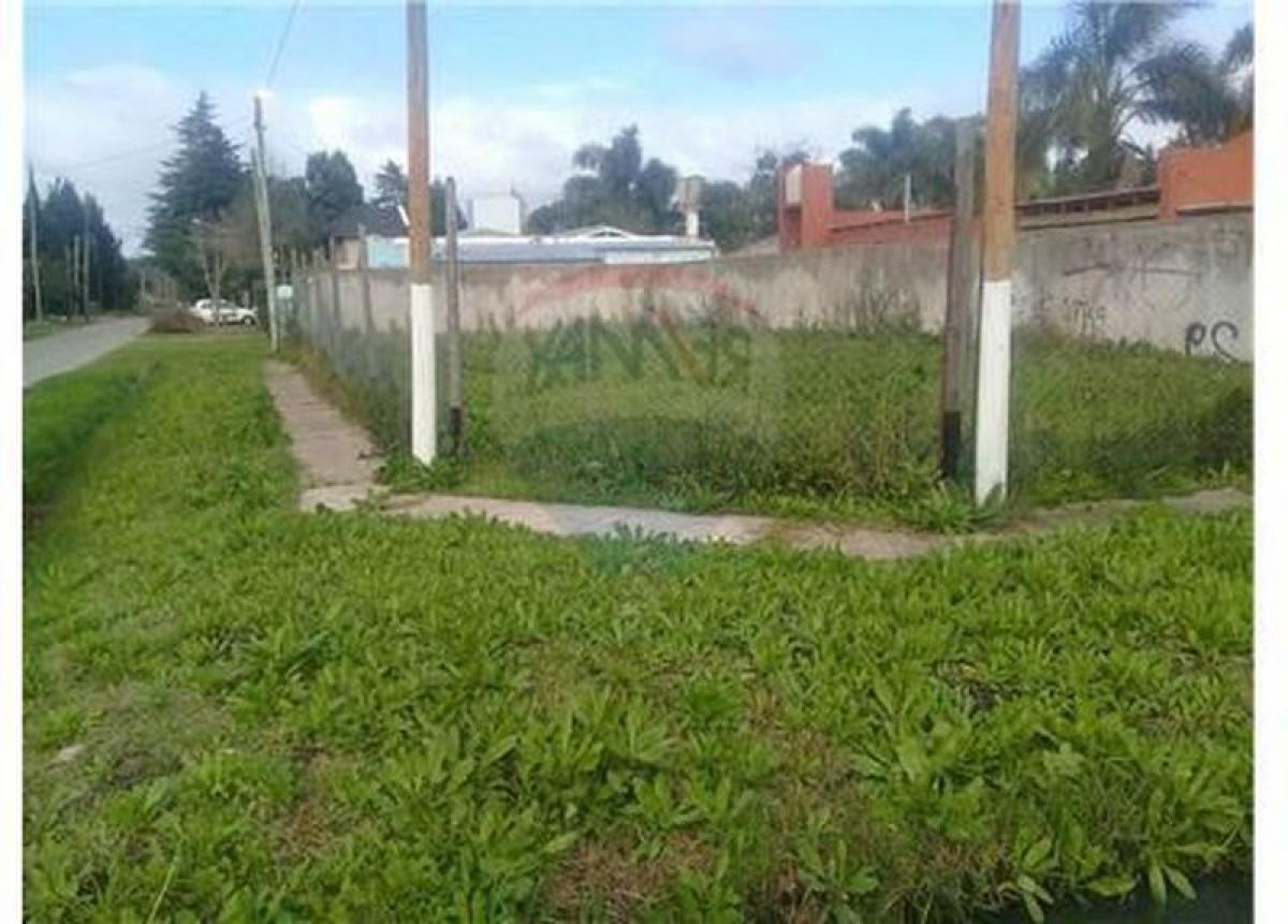 Grundstück in Campo Creado, Argentina, Nr. 36425