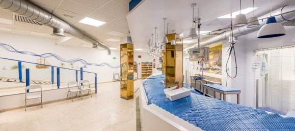 Gewerbliche Immobilie in Mostoles, Spain 376m², Nr. 89239 36