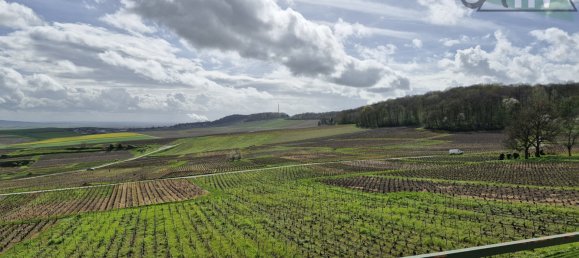 4 chambres Maison à Bethon, France No. 58751 2