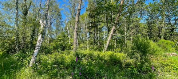 Terreno en Romorantin-Lanthenay, France 6550 m² No. 156427 2