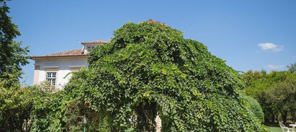 8 bedrooms Castles in Lousa, Portugal No. 118478 21