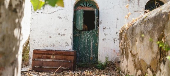 8 bedrooms Castles in Lousa, Portugal No. 118478 23