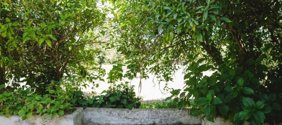 8 bedrooms Castles in Lousa, Portugal No. 118478 8