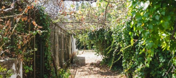 8 bedrooms Castles in Lousa, Portugal No. 118478 16