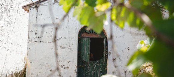 8 bedrooms Castles in Lousa, Portugal No. 118478 22