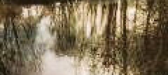 Terrain à Le Controis-en-Sologne, France No. 89578 9