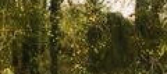 Terrain à Le Controis-en-Sologne, France No. 89578 10