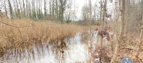 Terrain à Le Controis-en-Sologne, France No. 89578 2