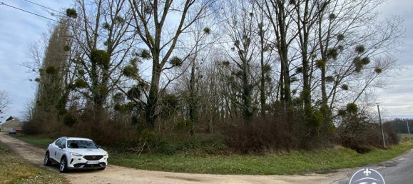 Terrain à Le Controis-en-Sologne, France No. 89578 4