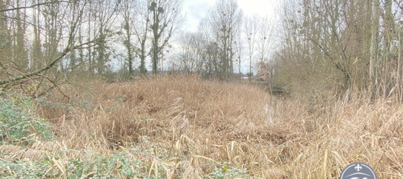 Terrain à Le Controis-en-Sologne, France No. 89578 3
