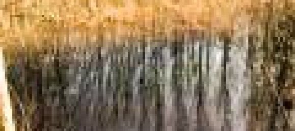 Terrain à Le Controis-en-Sologne, France No. 89578 7