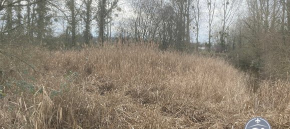 Terrain à Le Controis-en-Sologne, France No. 89578 5