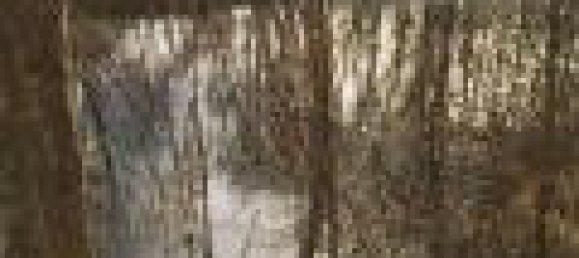 Terrain à Le Controis-en-Sologne, France No. 89578 11