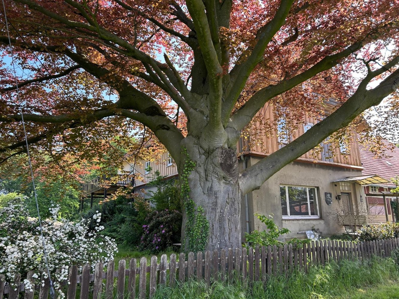 4 Schlafzimmer Bauernhof in Gütersloh, Germany, Nr. 318741