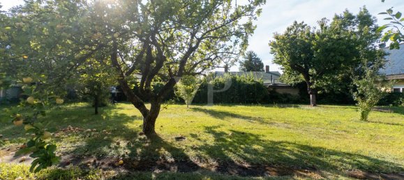 Grundstück in Karow, Germany, Nr. 61086 5