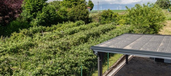 Casa de 3 dormitorios en Neusiedl am See, Austria No. 178680 11