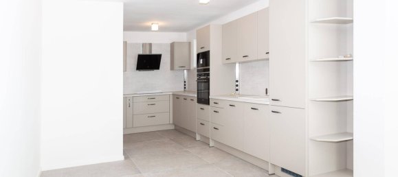 Casa de 3 dormitorios en Neusiedl am See, Austria No. 178680 4