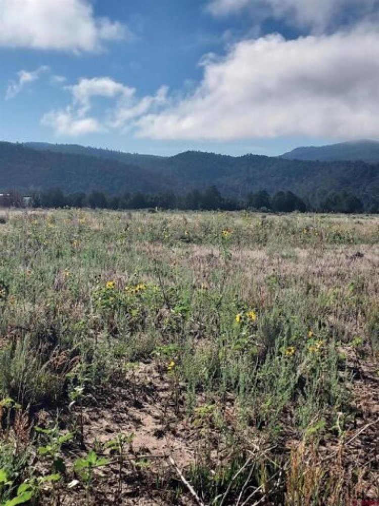  Land in Pagosa Springs, USA No. 480391