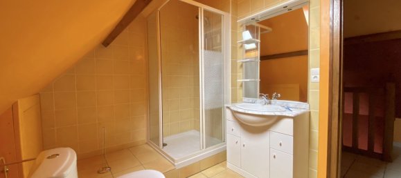 5 chambres Maison à Mennetou-sur-Cher, France No. 238134 14