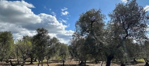 Дом с 1 спальней в Челье Мессапика, Италия № 345455 10