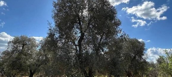 Дом с 1 спальней в Челье Мессапика, Италия № 345455 8