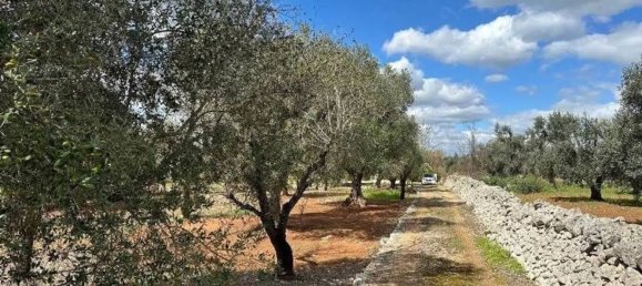 Дом с 1 спальней в Челье Мессапика, Италия № 345455 14