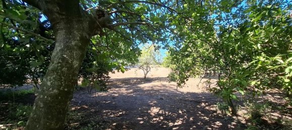 Terreno en Nocera Inferiore, Italy No. 375714 12