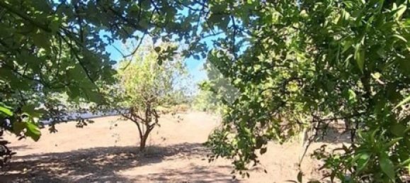 Terreno en Nocera Inferiore, Italy No. 375714 19