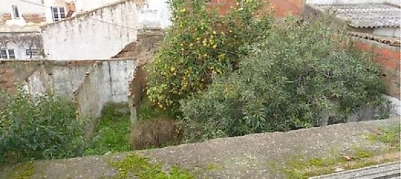 2 Schlafzimmer Haus in Ervidel, Portugal, Nr. 31228 11