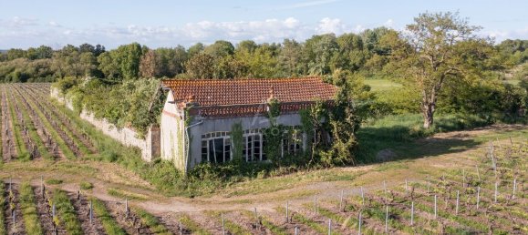 Casa T10 em Nantes, France N.º 334834 11