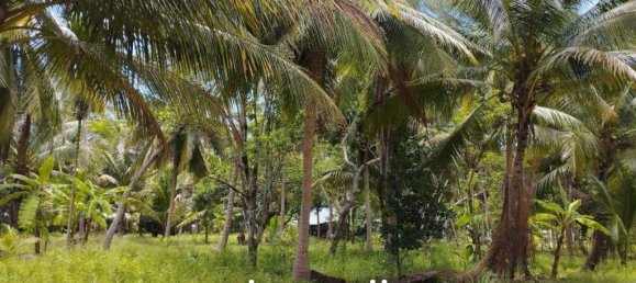  Commercial property in Wiang Sa, Thailand No. 24933 5