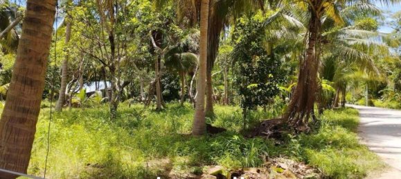  Commercial property in Wiang Sa, Thailand No. 24933 3