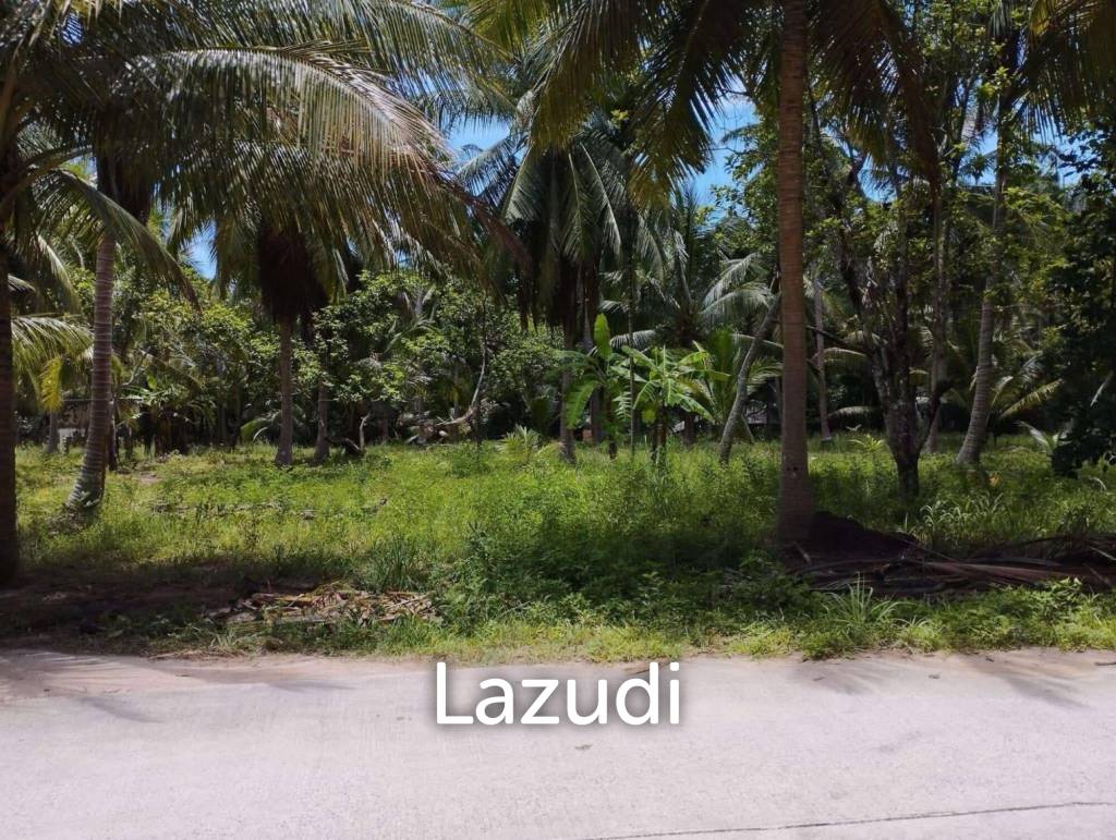  Commercial property in Wiang Sa, Thailand No. 24933