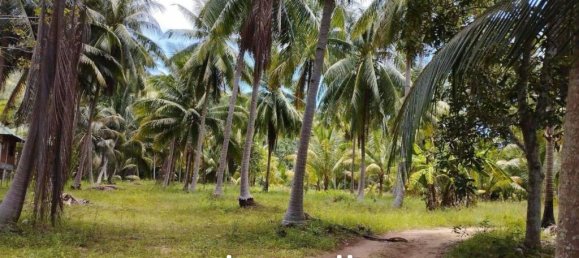  Commercial property in Wiang Sa, Thailand No. 24933 6