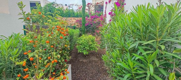 2 bedrooms Villa in Algorfa, Spain No. 183575 37