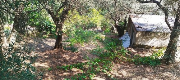 3 Schlafzimmer Haus in Cortes do Meio, Portugal, Nr. 43593 23