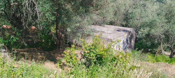 3 Schlafzimmer Haus in Cortes do Meio, Portugal, Nr. 43593 24