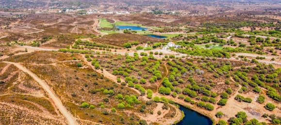 269836m² Land in Castro Marim, Portugal No. 135160 16