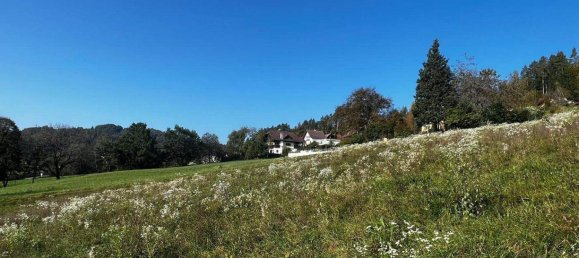 Terreno em Kottmannsdorf, Austria N.º 45240 3