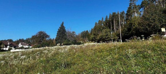 Terreno em Kottmannsdorf, Austria N.º 45240 2