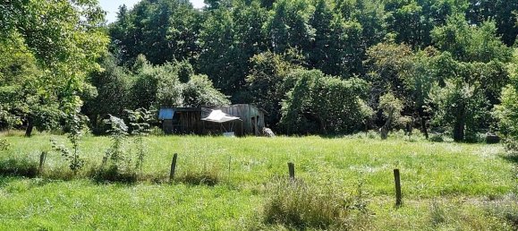 5-Zimmer Stadthaus in Cirey-sur-Vezouze, France, Nr. 210018 10