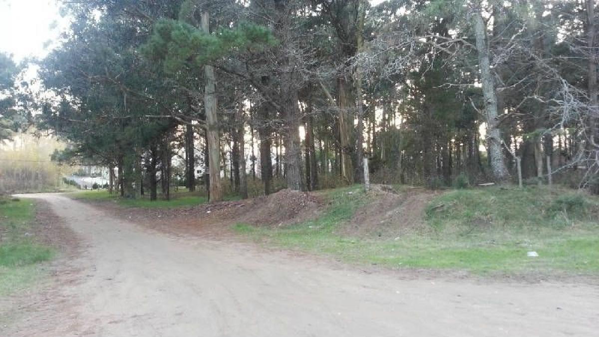  قطعة أرض في Mar del Plata, Argentina رقم 119618