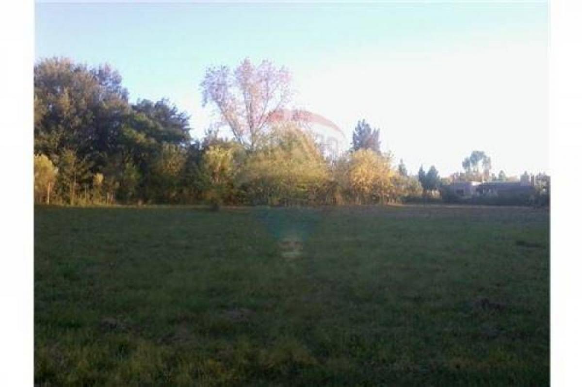 Grundstück in Pilar, Argentina, Nr. 33750