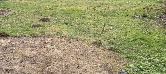 4 bedrooms House in Etampes, France No. 323395 18