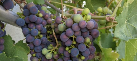 Moradia em banda T6 em Leipzig, Germany N.º 218880 6