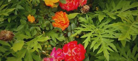 Moradia em banda T6 em Leipzig, Germany N.º 218880 10