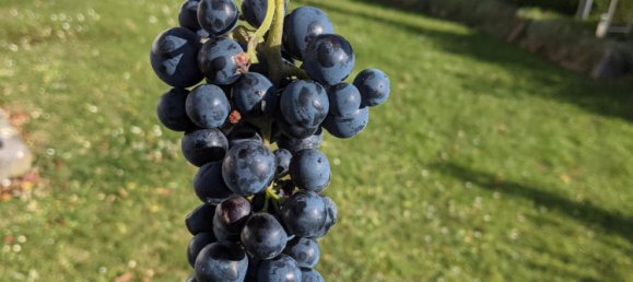 Moradia em banda T6 em Leipzig, Germany N.º 218880 7